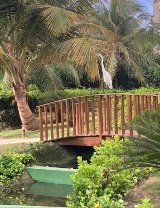 Place - Terreo Aquiraz