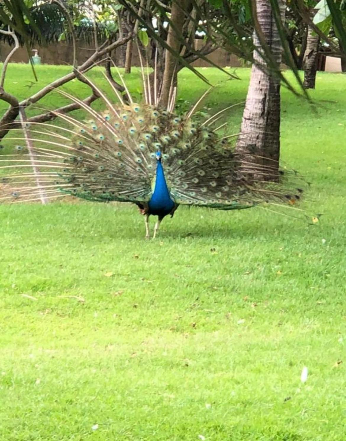 Place - Terreo Aquiraz
